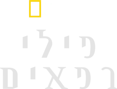 פילי רפאים