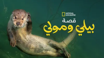 thumbnail - قصة بيلي ومولي