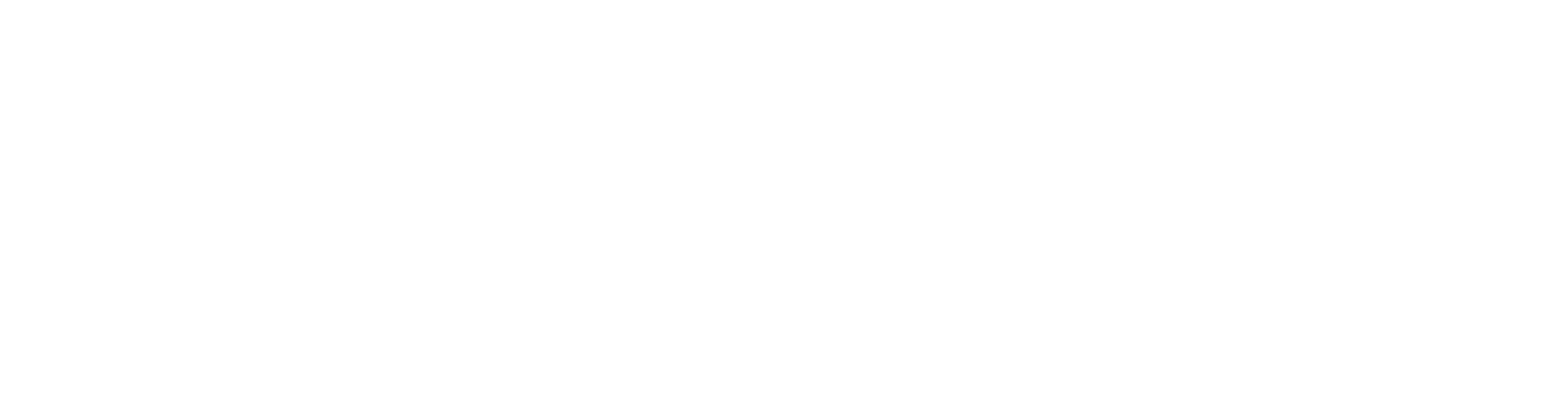 كريس ديستيفنو: بلا حظ