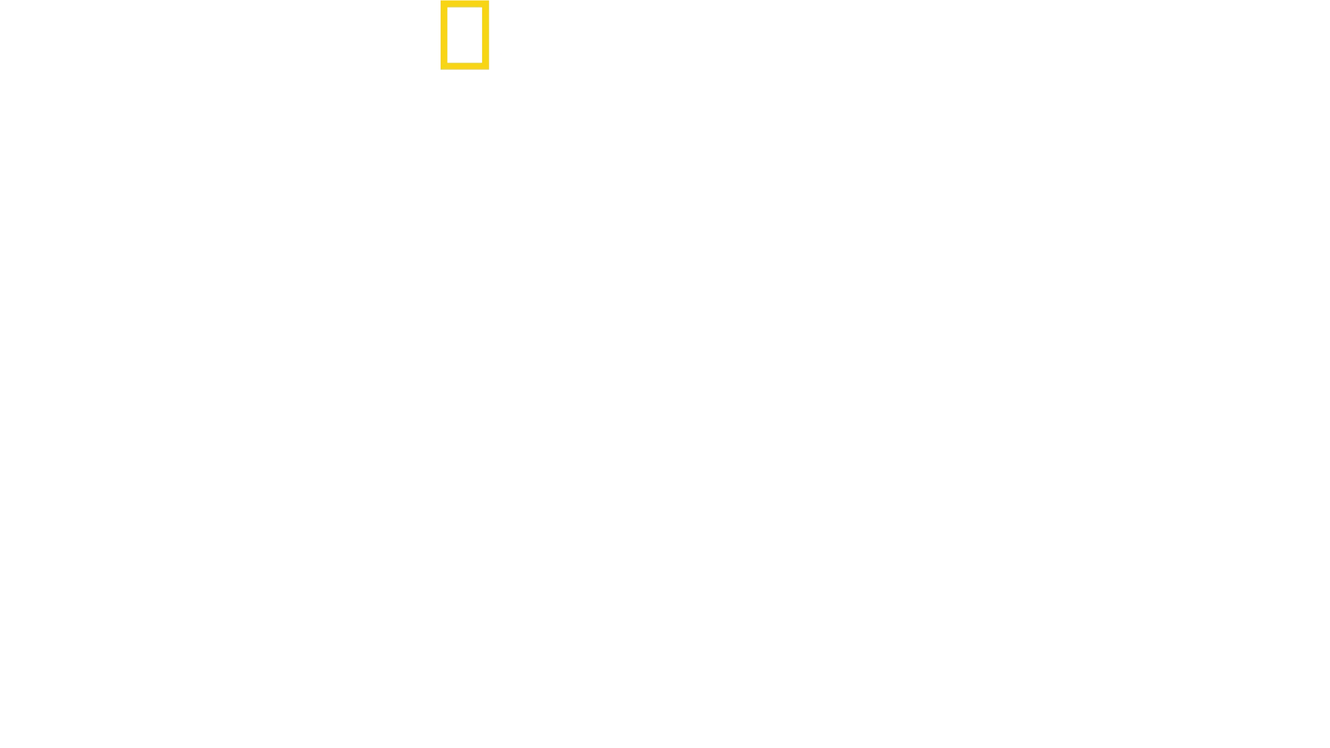 "استكشاف الأمازون"