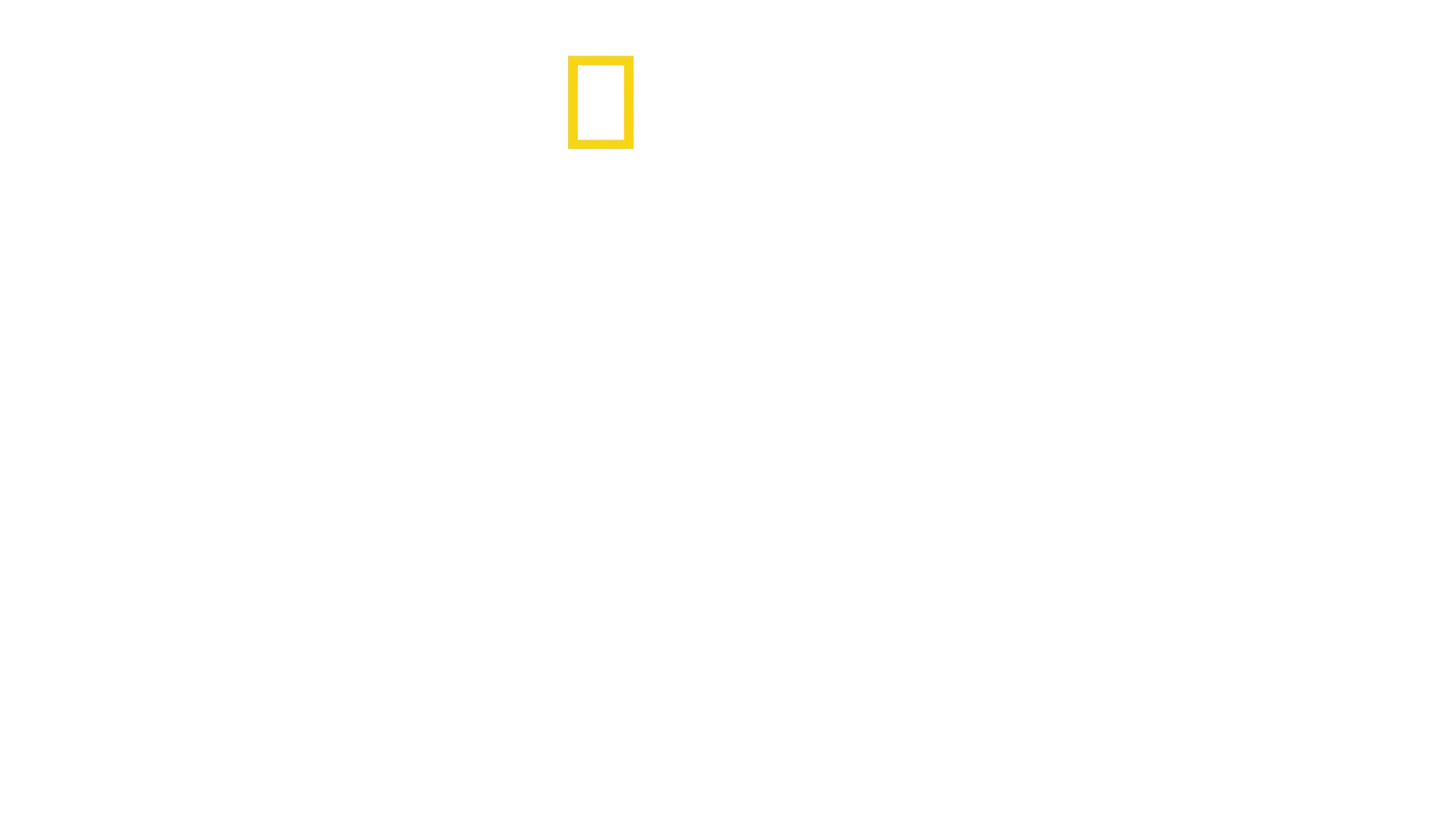 משלחת האמזונס