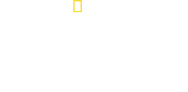 משלחת האמזונס