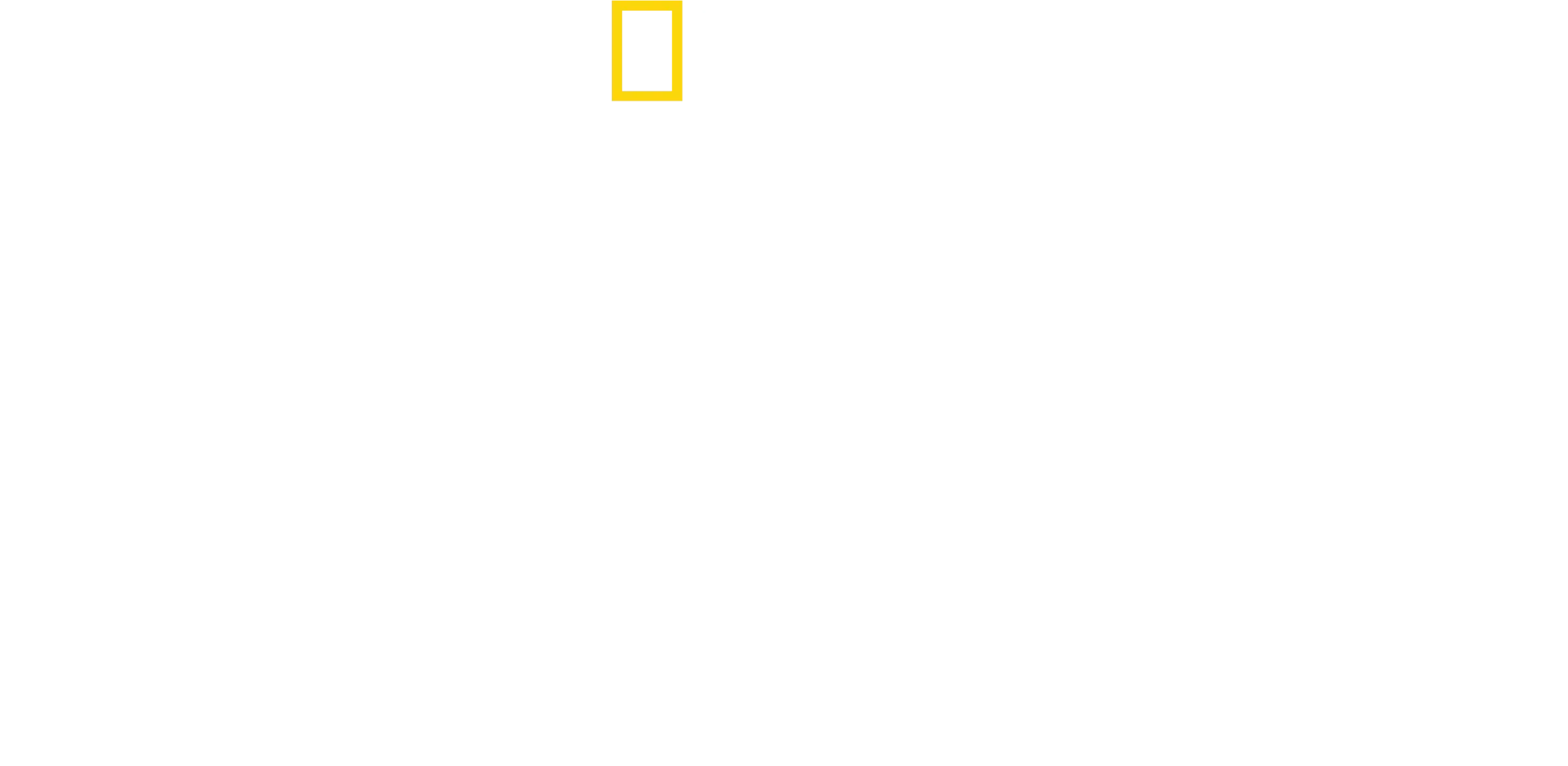 משלחת האמזונס