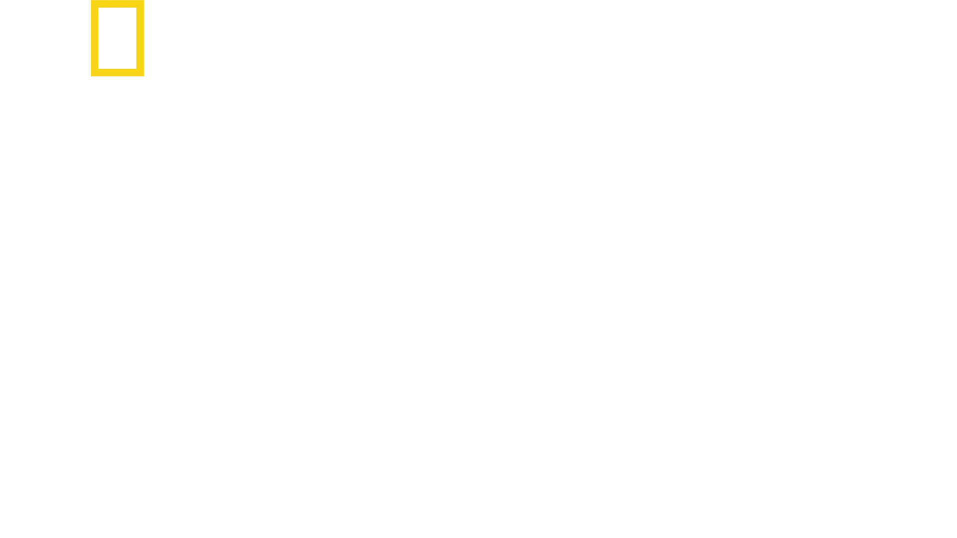 لا طعم يضاهي طعم الديار مع أنطوني بوروسكي