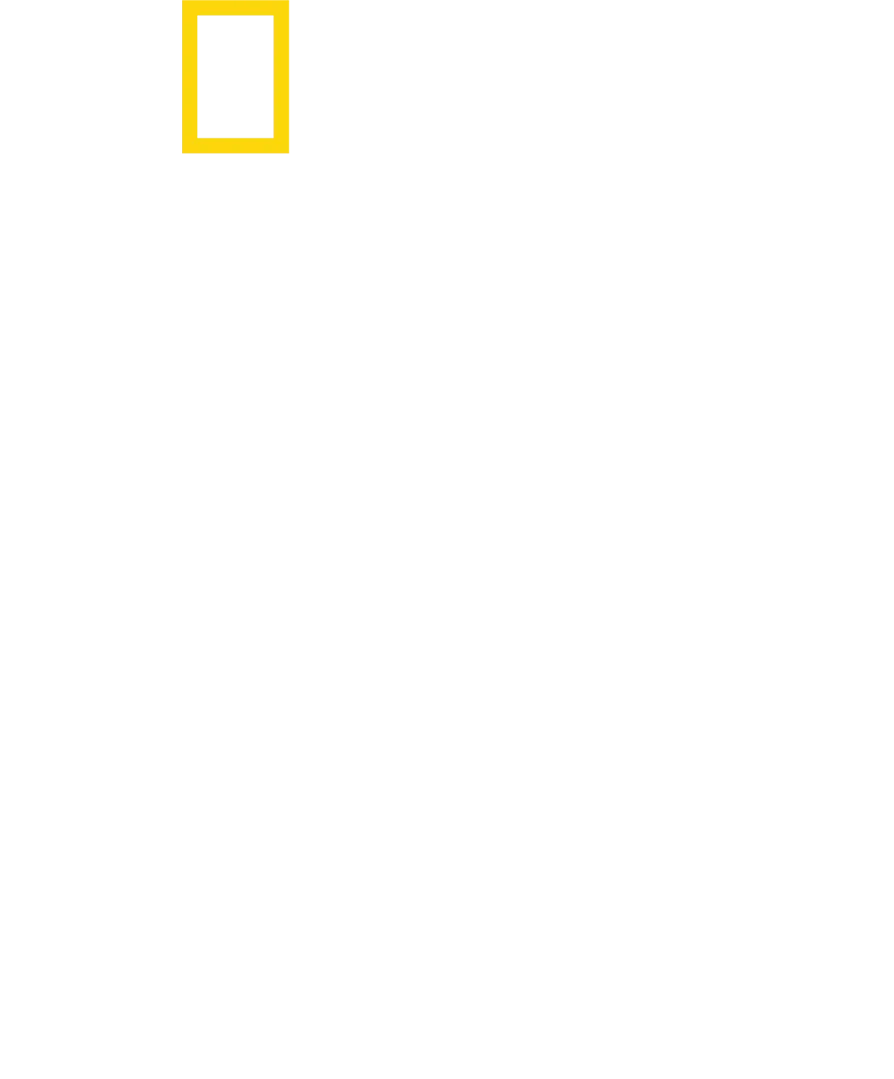 لا طعم يضاهي طعم الديار مع أنطوني بوروسكي