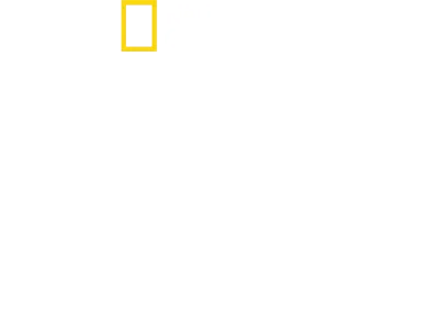 טעם של בית עם אנטוני פורובסקי