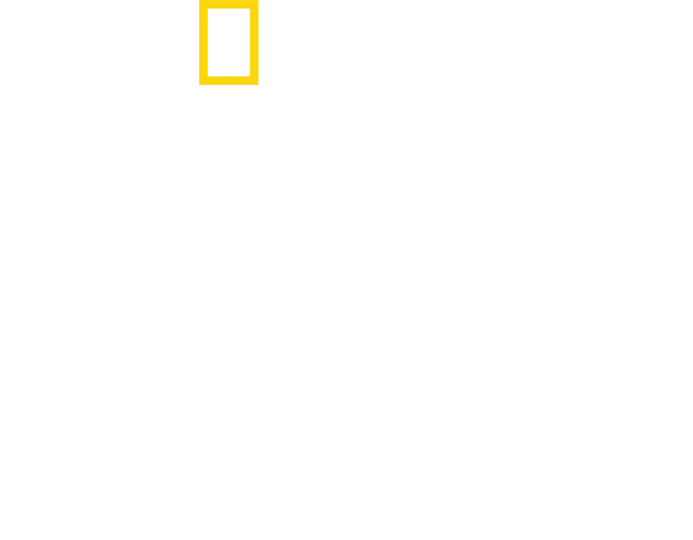 טעם של בית עם אנטוני פורובסקי