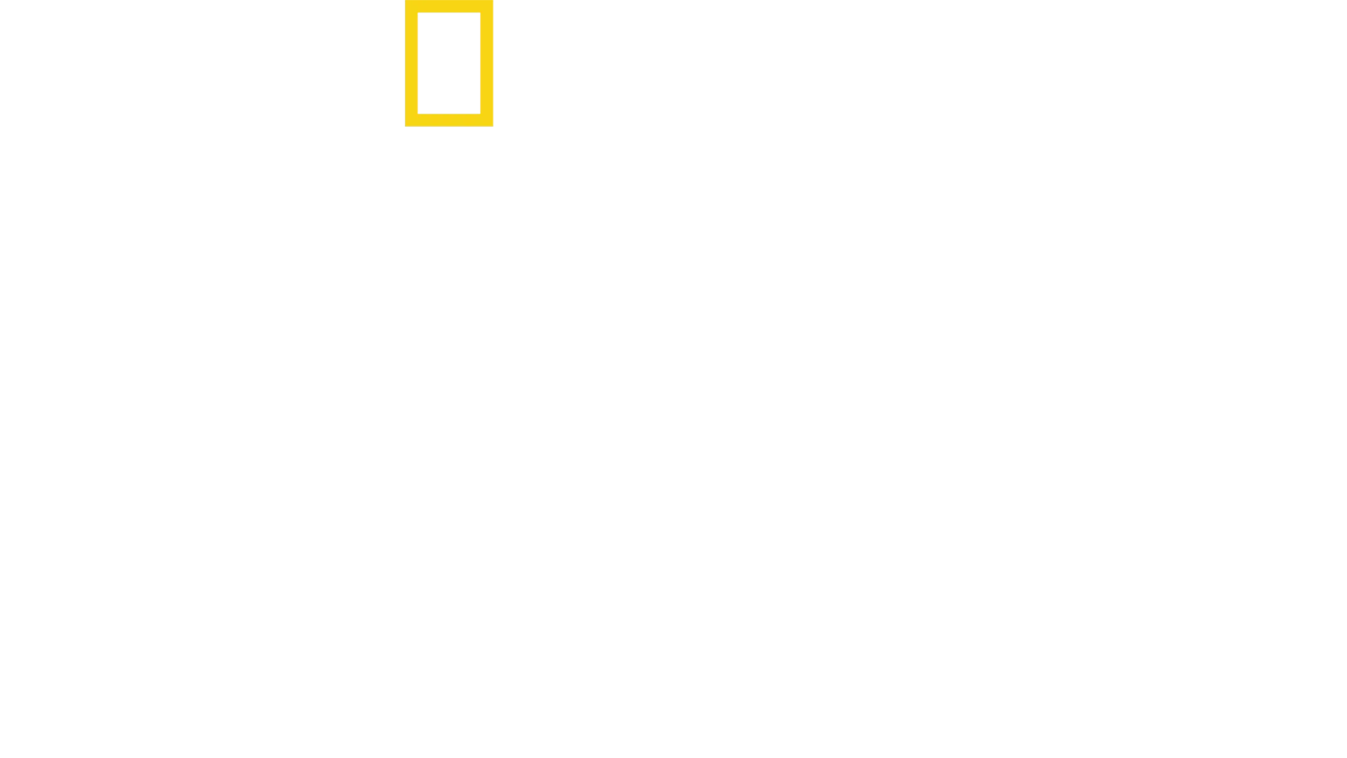 חמישים שנה למלתעות: הסיפור האמיתי