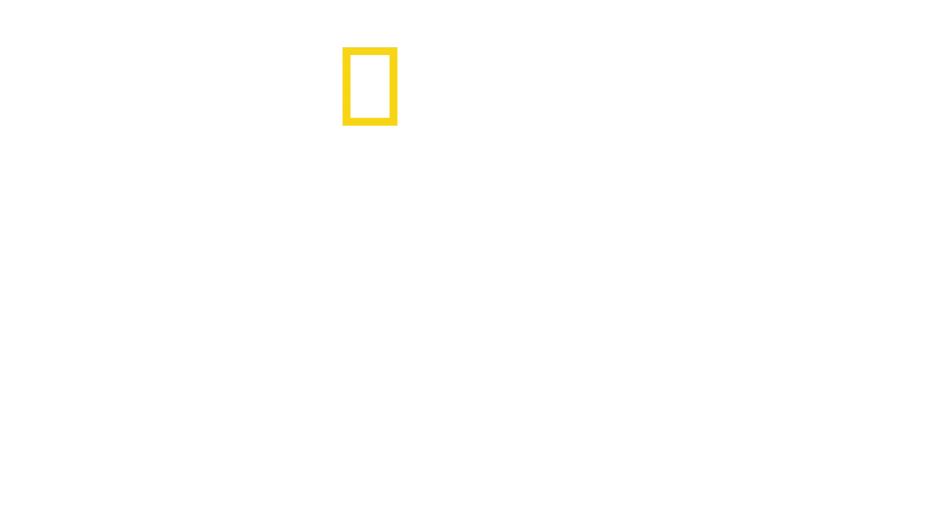 חסר גבולות: חיים טובים יותר