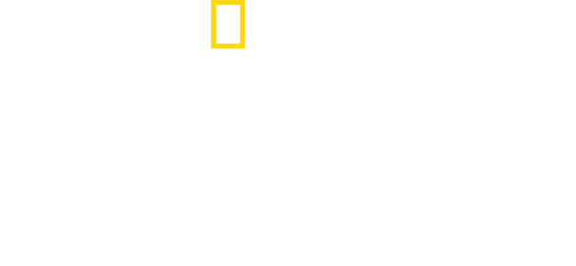 חסר גבולות: חיים טובים יותר
