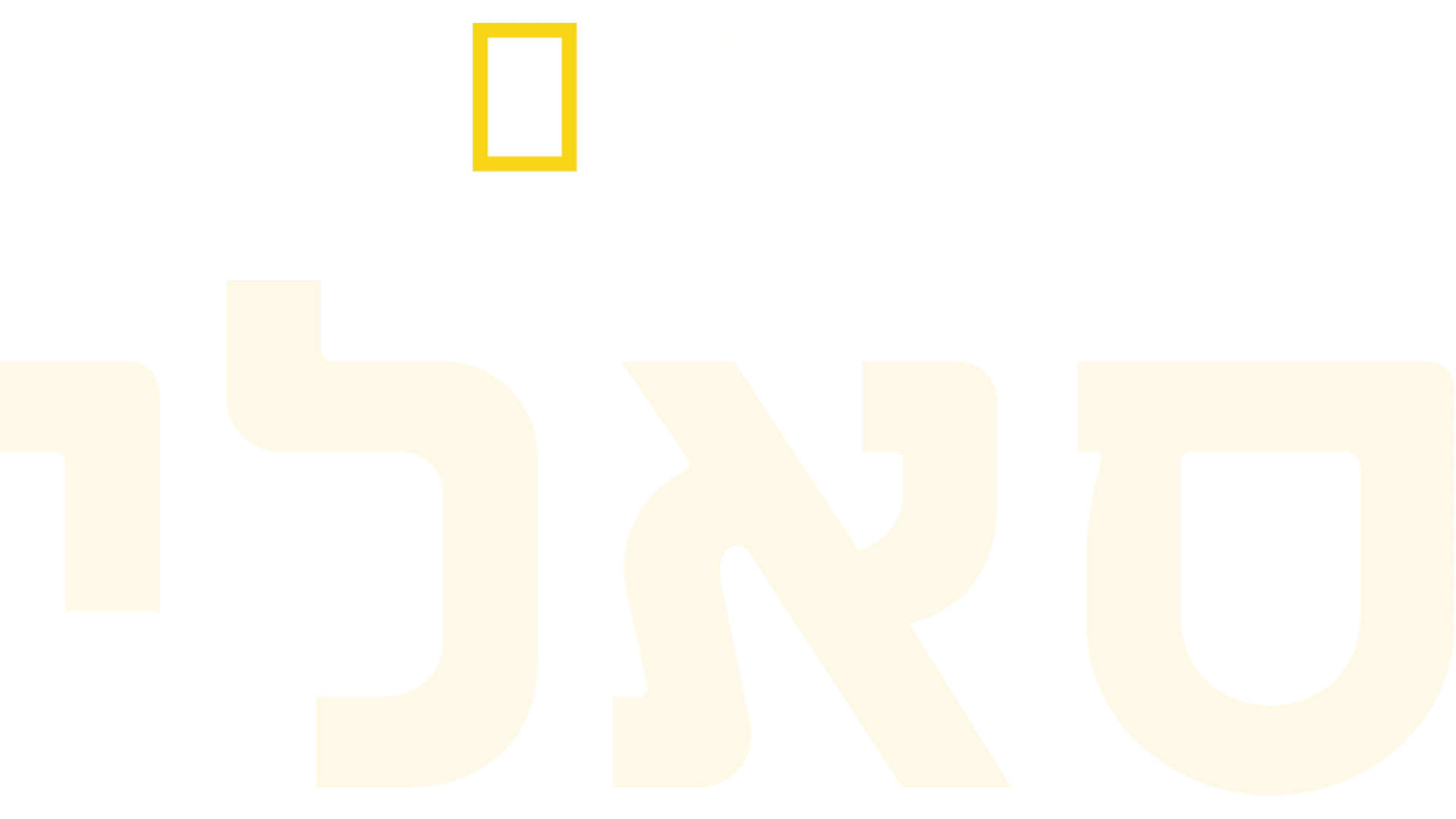סאלי