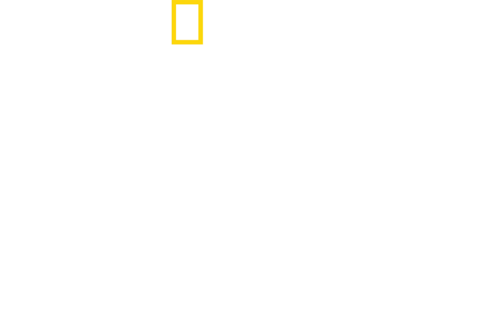 أسرار البطاريق