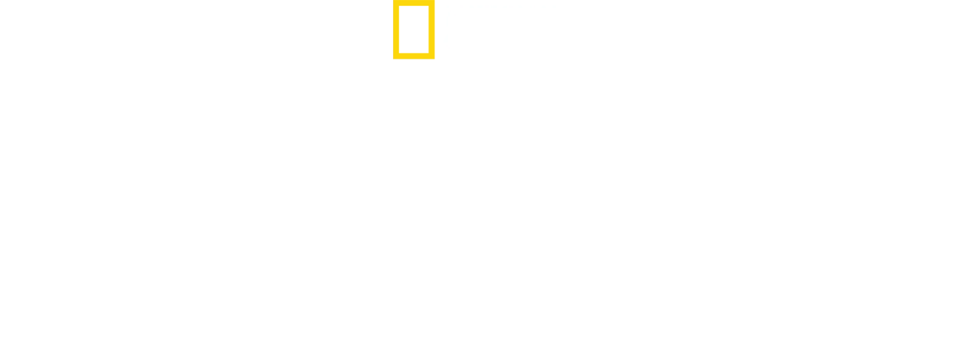 סודות הפינגווינים