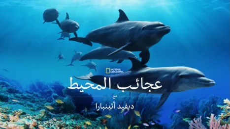 thumbnail - المحيط مع "ديفيد أتينبارا"