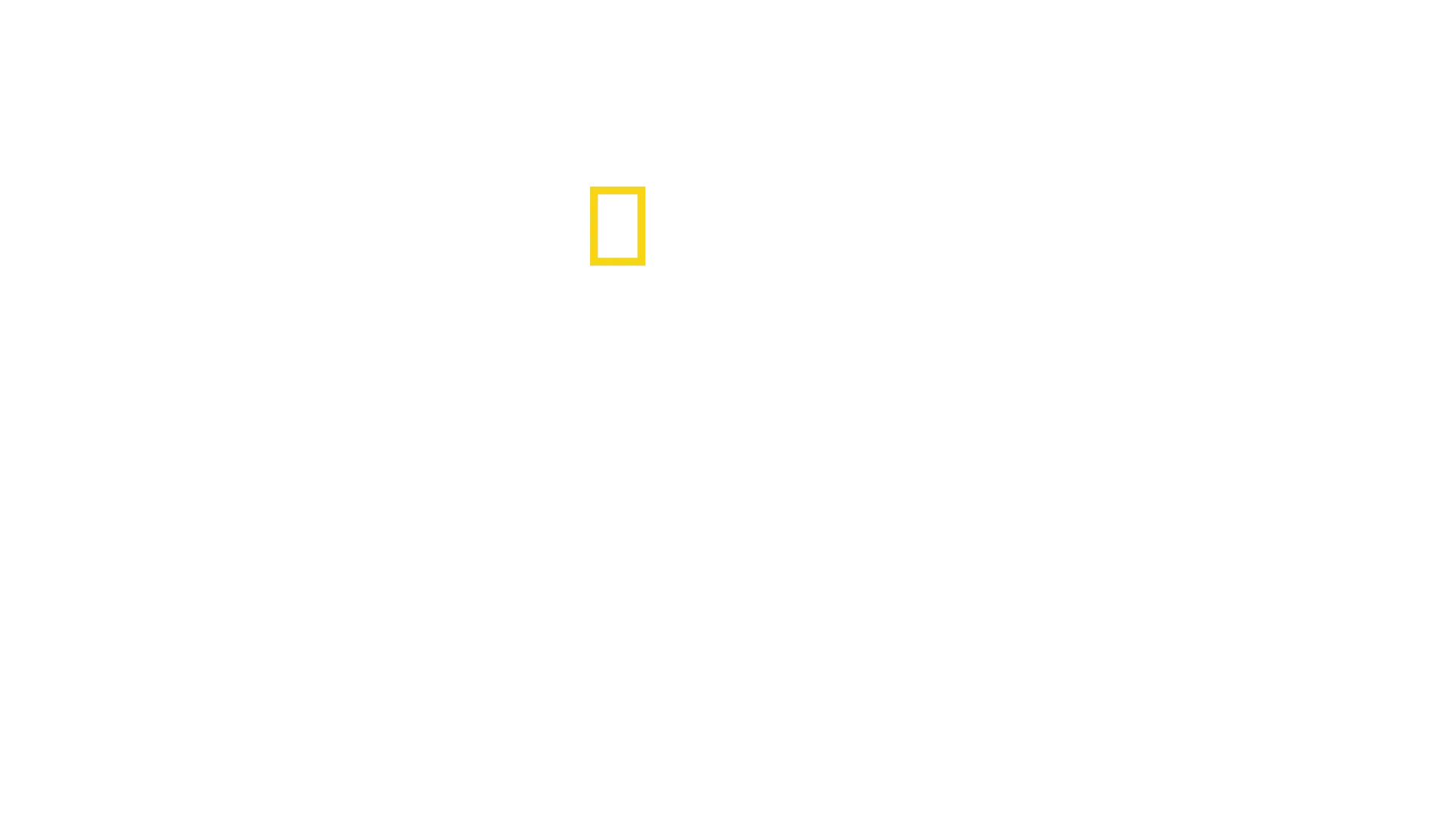 האוקיינוס עם דיוויד אטנבורו