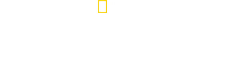 האוקיינוס עם דיוויד אטנבורו
