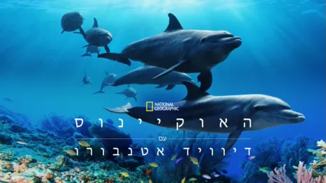 thumbnail - האוקיינוס עם דיוויד אטנבורו