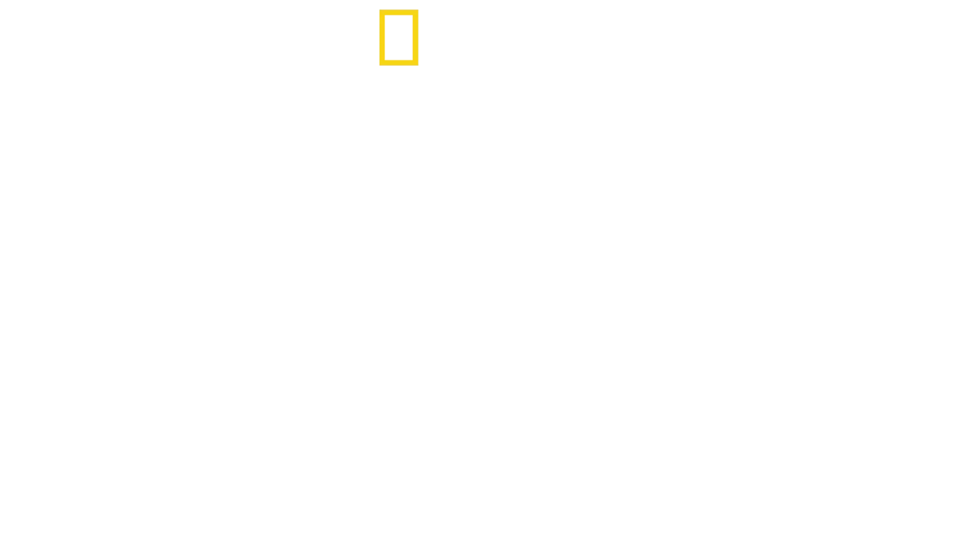 الاقتراب من أسماك القرش مع بيرتي غريغوري