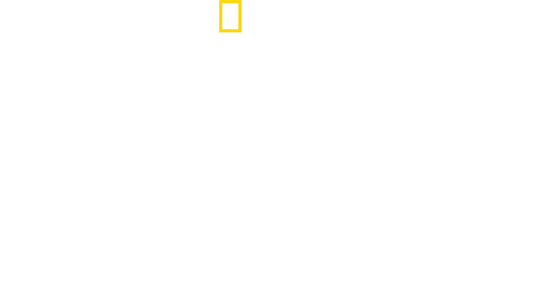 الاقتراب من أسماك القرش مع بيرتي غريغوري