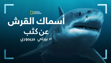 thumbnail - الاقتراب من أسماك القرش مع بيرتي غريغوري