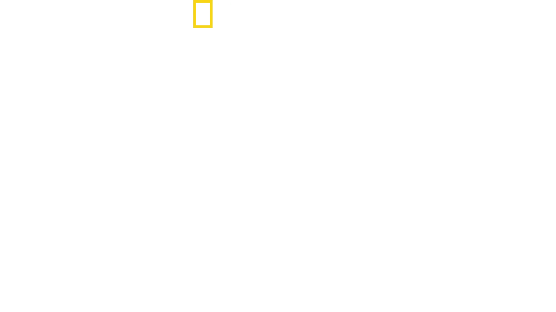 כרישים בקלוז-אפ עם ברטי גרגורי