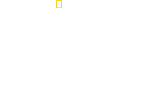 כרישים בקלוז-אפ עם ברטי גרגורי
