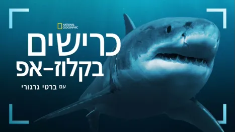 thumbnail - כרישים בקלוז-אפ עם ברטי גרגורי