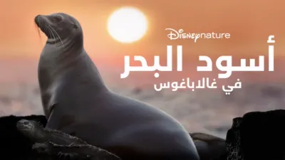 thumbnail - أسود البحر في "غالاباغوس"