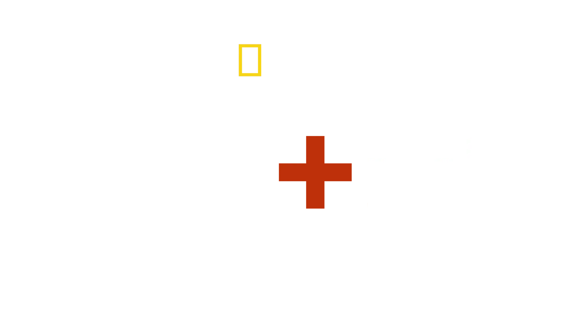 الحب + الحرب