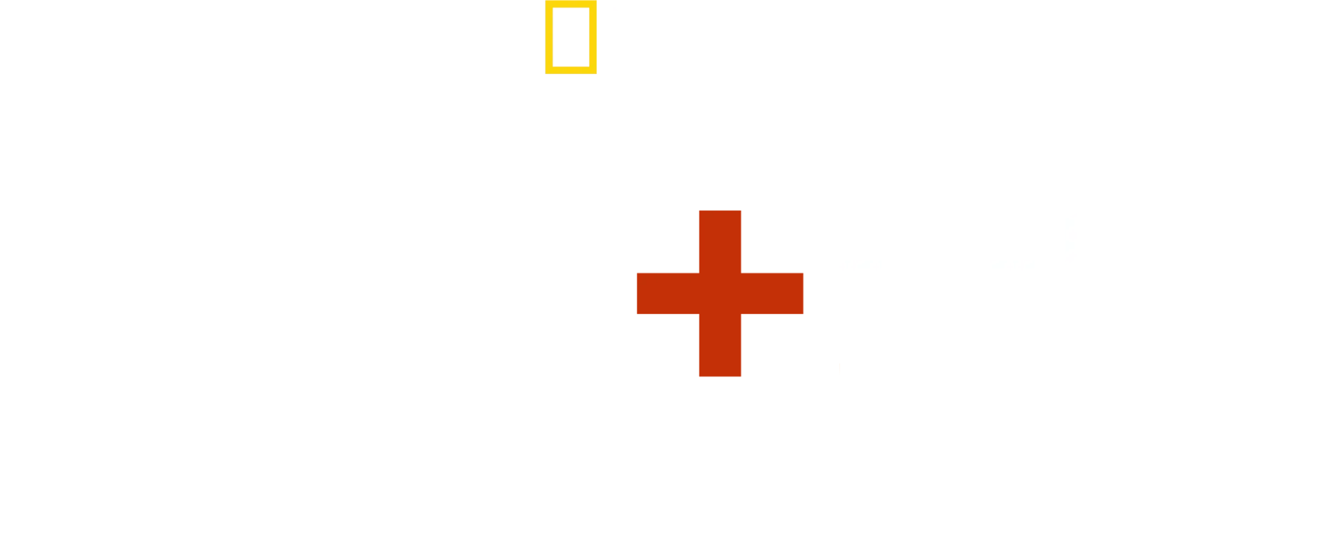 الحب + الحرب