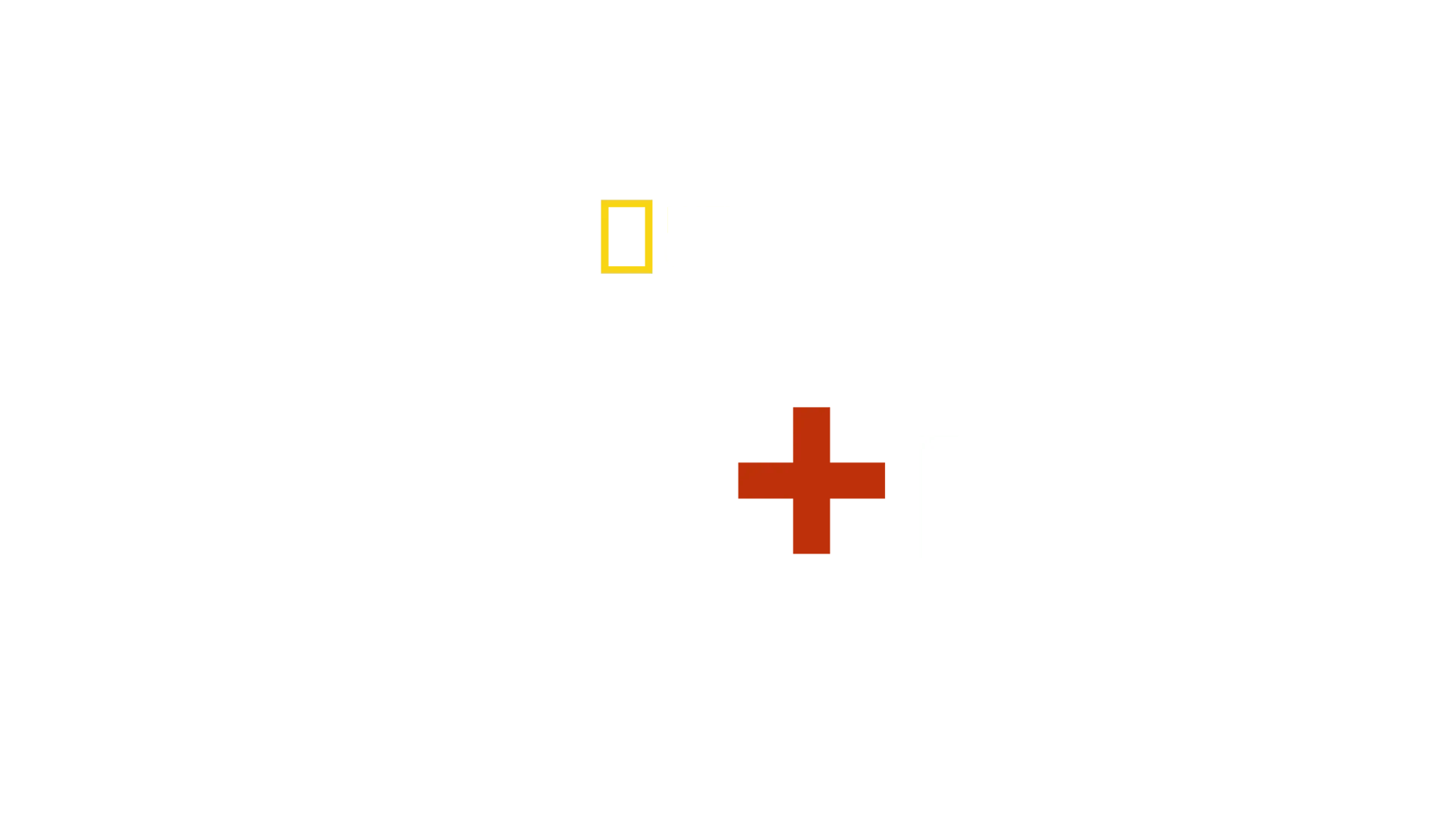 אהבה + מלחמה