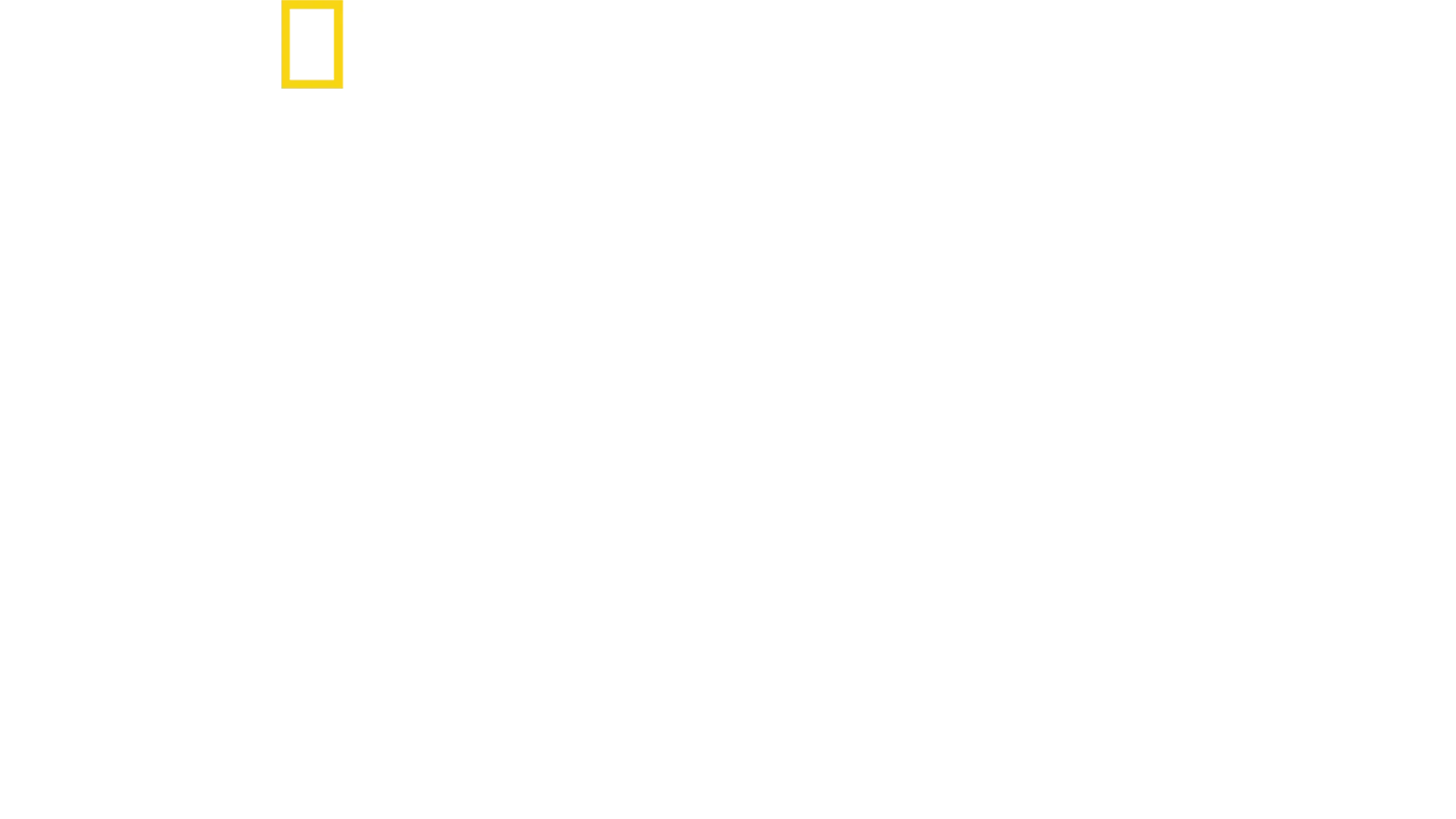 الدلافين عن قرب مع بيرتي غريغوري