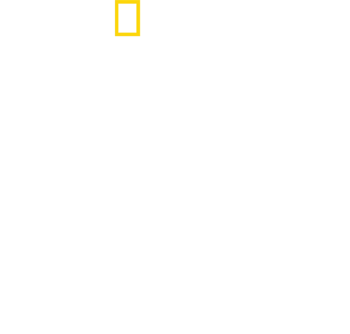 الدلافين عن قرب مع بيرتي غريغوري