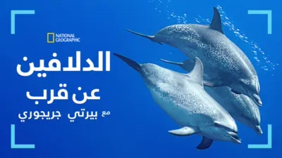 thumbnail - الدلافين عن قرب مع بيرتي غريغوري