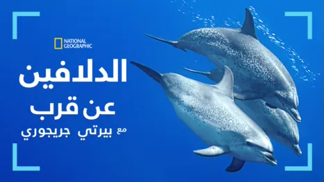 thumbnail - الدلافين عن قرب مع بيرتي غريغوري