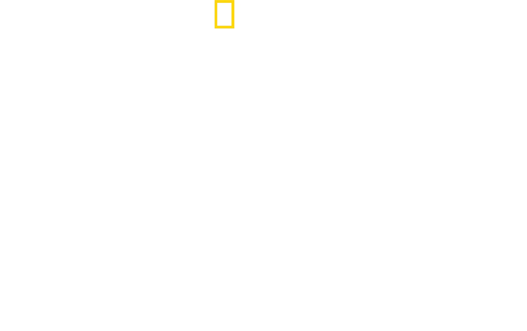דולפינים בקלוז-אפ עם ברטי גרגורי