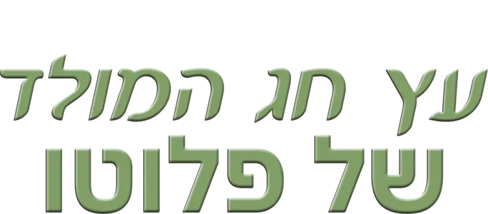 עץ חג המולד של פלוטו