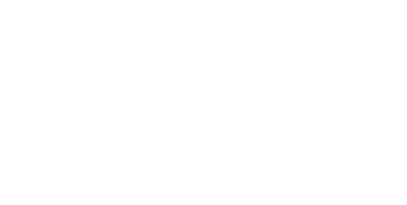 האחיינים של דונלד דאק