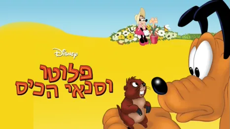 thumbnail - פלוטו וסנאי הכיס