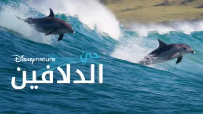 thumbnail - حيّ الدلافين