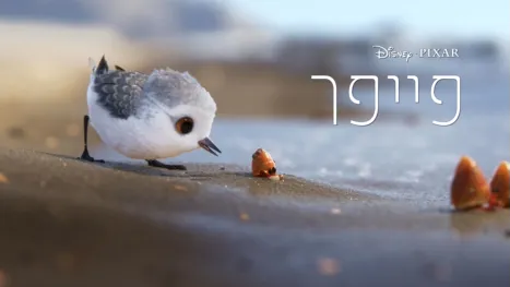 thumbnail - פייפר