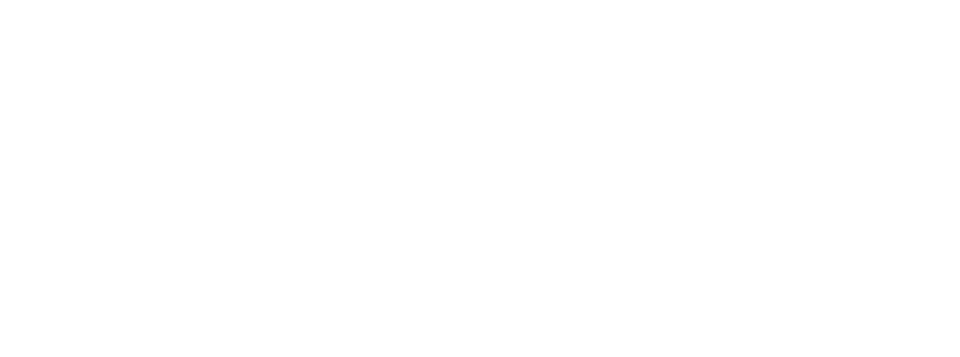 رحلة الفيلة