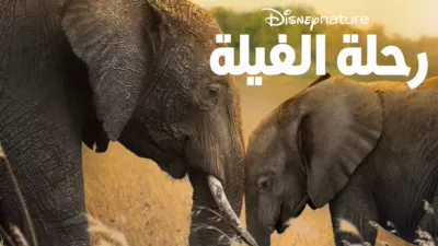 thumbnail - رحلة الفيلة