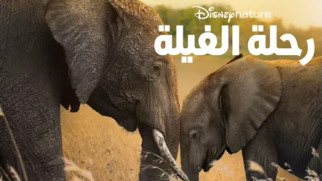 thumbnail - رحلة الفيلة
