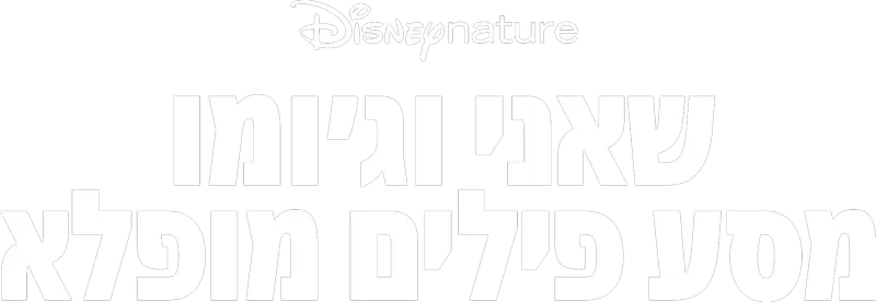 פילים