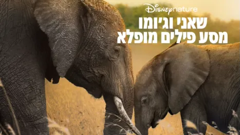 thumbnail - פילים