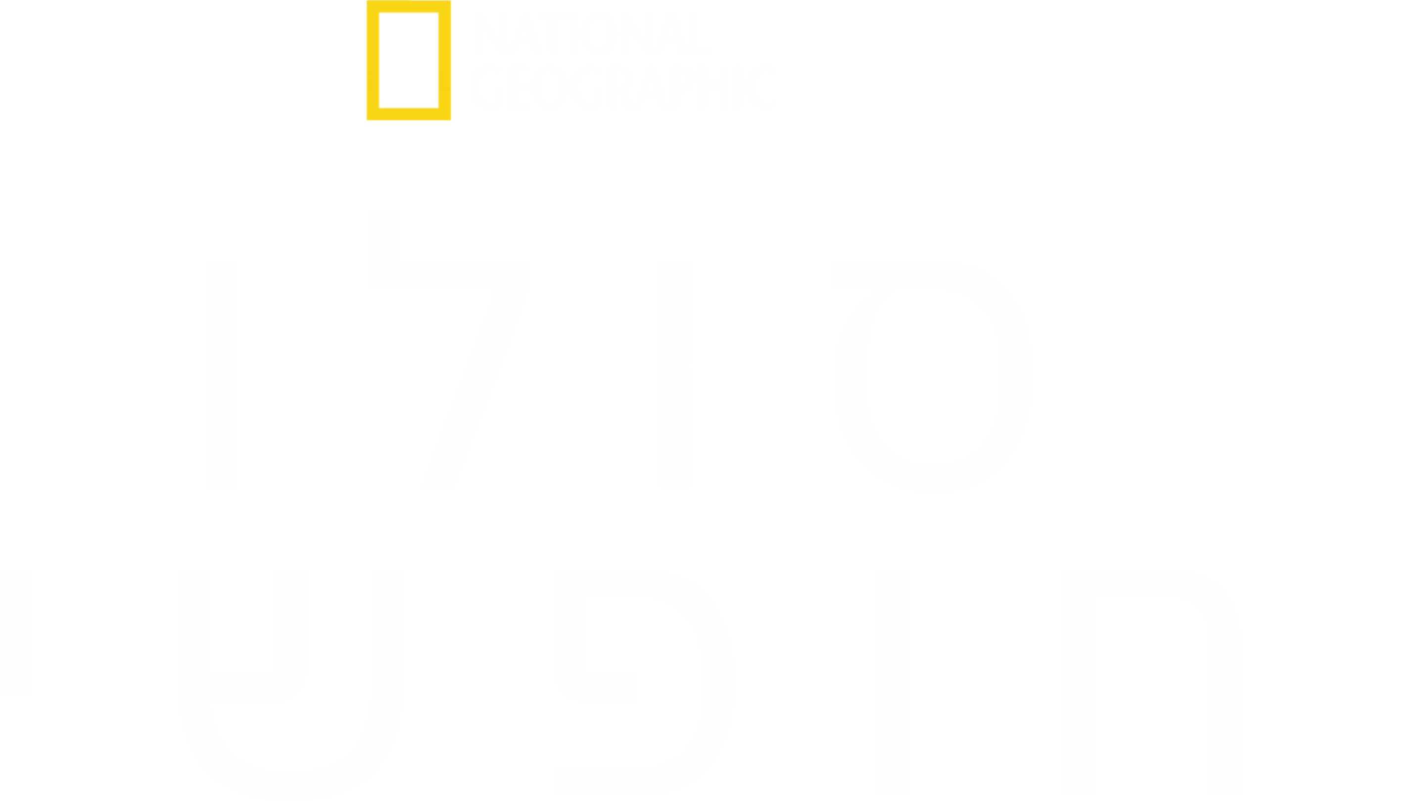 סולו  חופשי