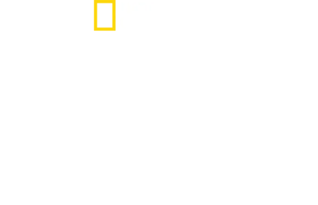 סולו  חופשי