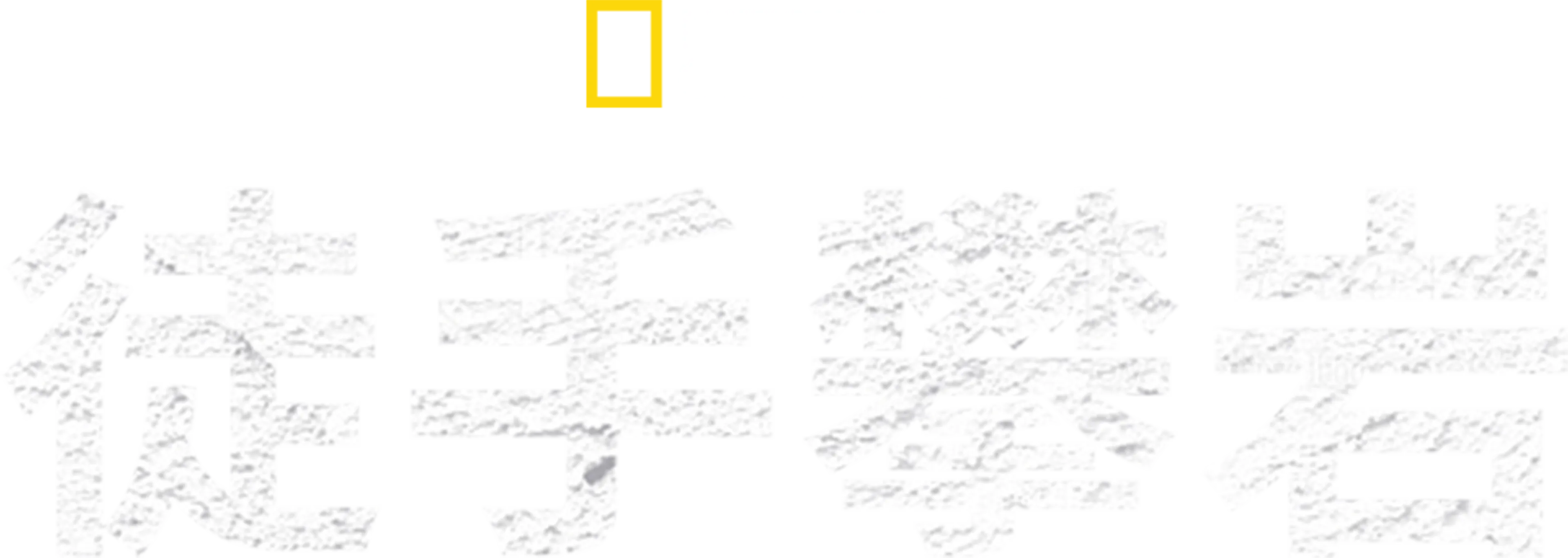徒手攀岩