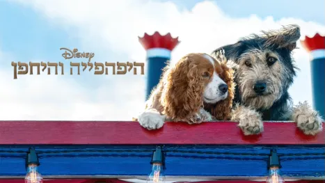 thumbnail - היפהפייה והיחפן